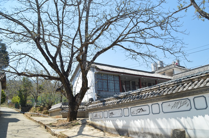 DSC_0176 - 复件