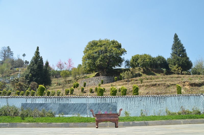DSC_0190 - 复件
