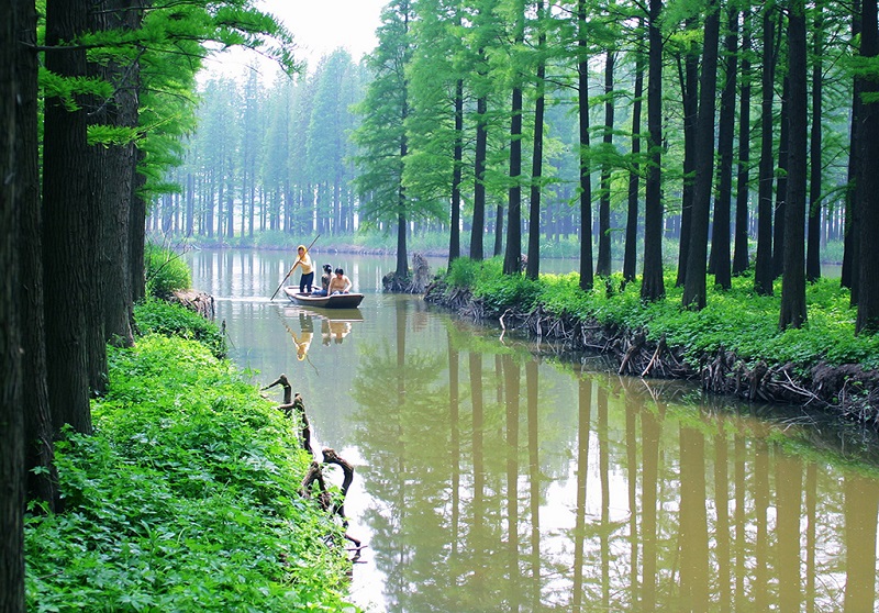水上森林公园景色