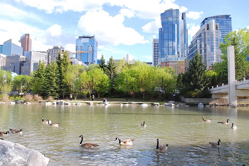 卡尔加里生态美景