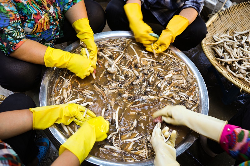 清洗鸡枞菌的妇女（2），摄影：许文舟