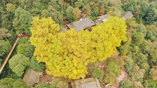 《2021雅安最全旅行时间表》出炉，建议收藏