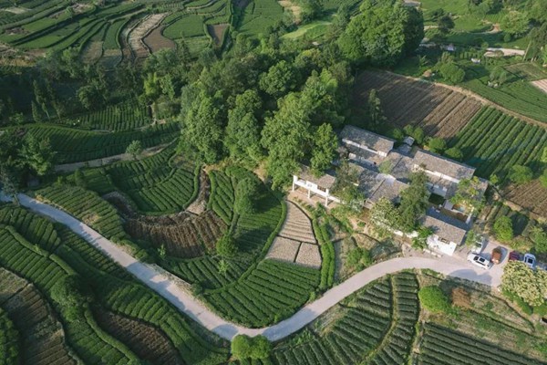 图源/茶边小院