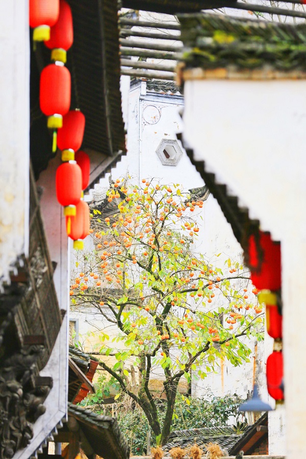 婺源篁岭红灯笼