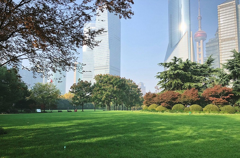 上海陆家嘴中心绿地公园
