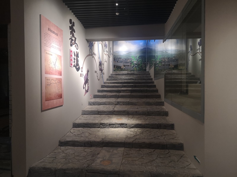 滇红茶博物馆现场点