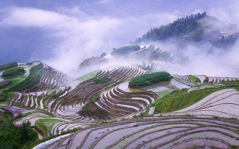 菲律宾巴纳韦高山梯田