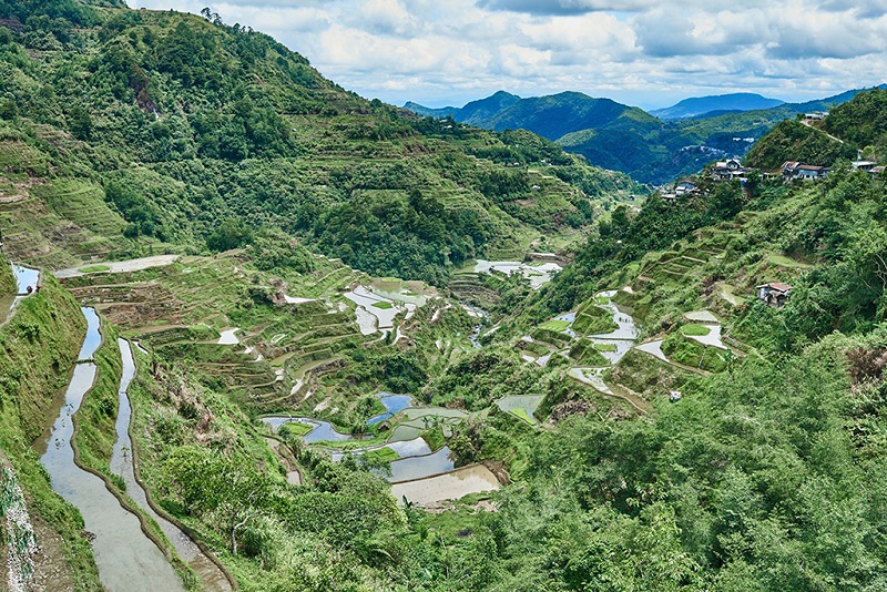 美丽的巴拿威