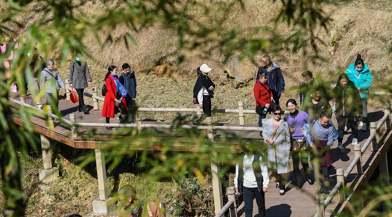 冬日暧阳，游人漫步在梯田景区