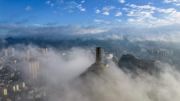 DJI_0181