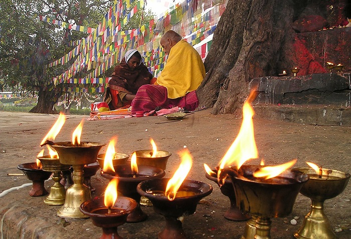 菩提树下的佛灯