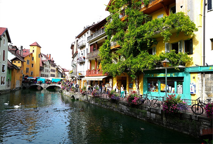 里昂鲜花盛开时