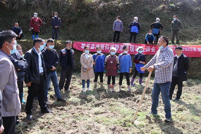 袁教授给大家传授免耕稻种植技术。