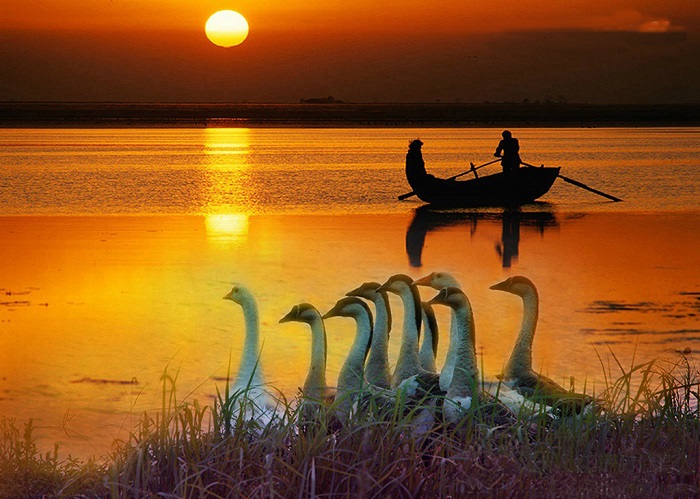 荆州长湖夕照美景