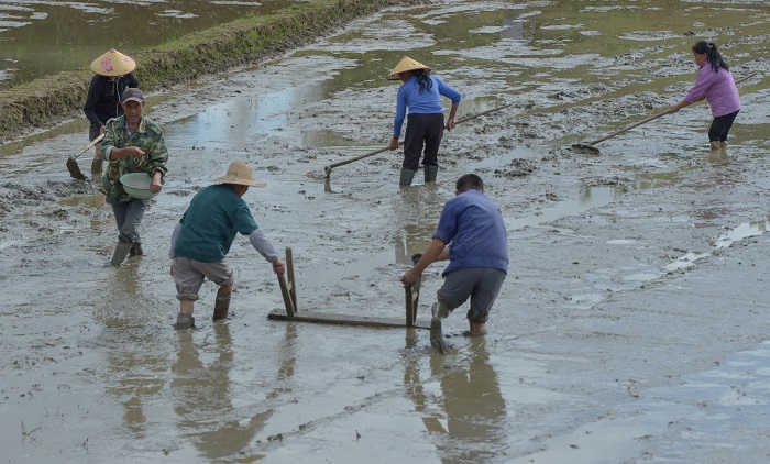 翻耕播种催春耕