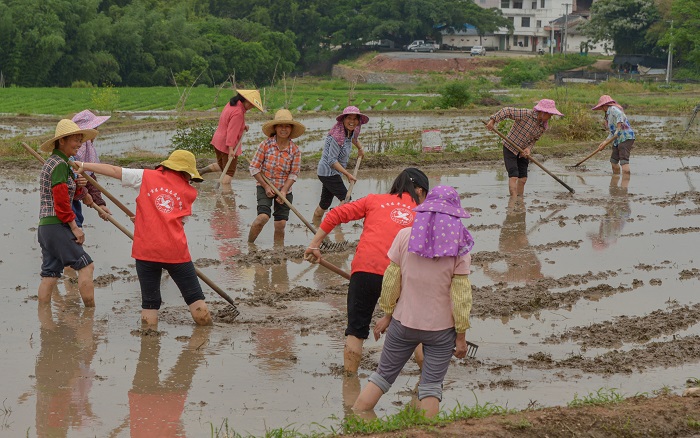 春田来了志愿者