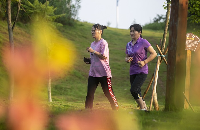4、2022年6月4日清晨，广西梧州市玫瑰湖公园绿意盎然，吸引市民赏景、晨运，畅享生态美景。（何华文）