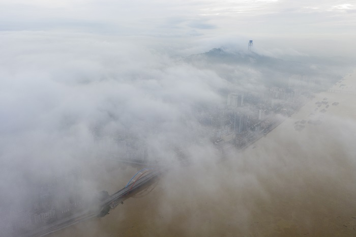 12、2022年6月8日清晨，洪水流过梧州市境内的西江上空云雾缭绕。（何华文）