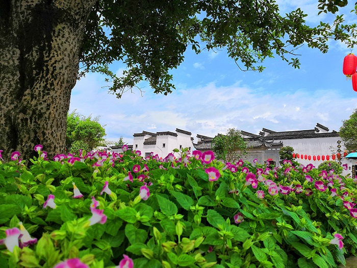 唐模古村美景