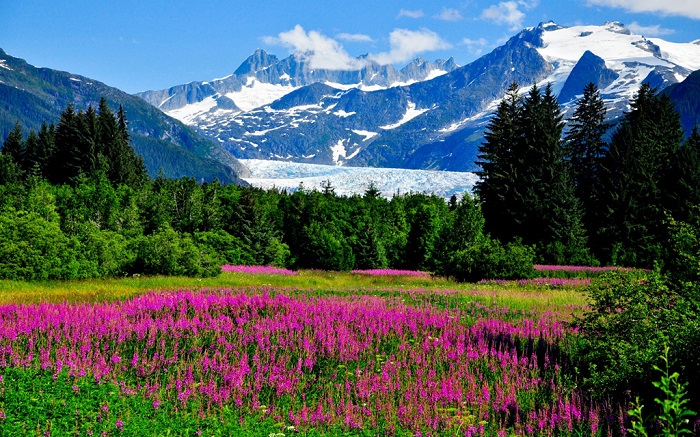 阿拉斯加夏日美景