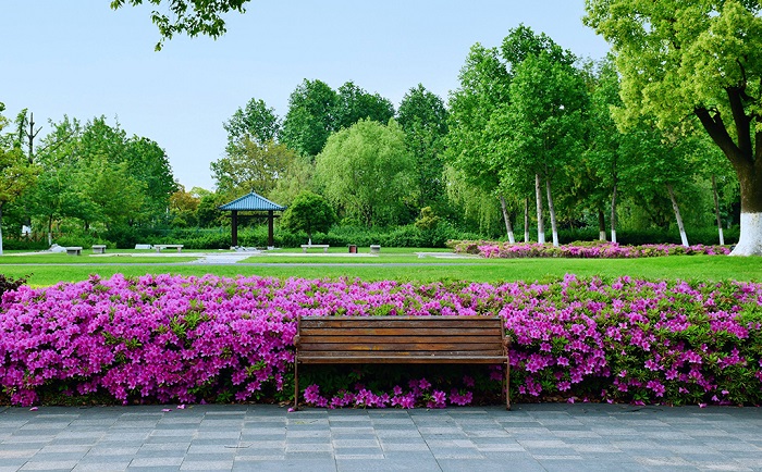 太仓郑和公园百花齐放美景