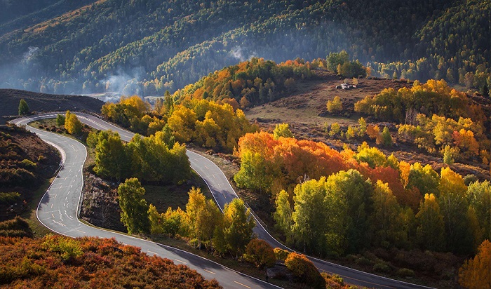 禾木盘山公路秋色