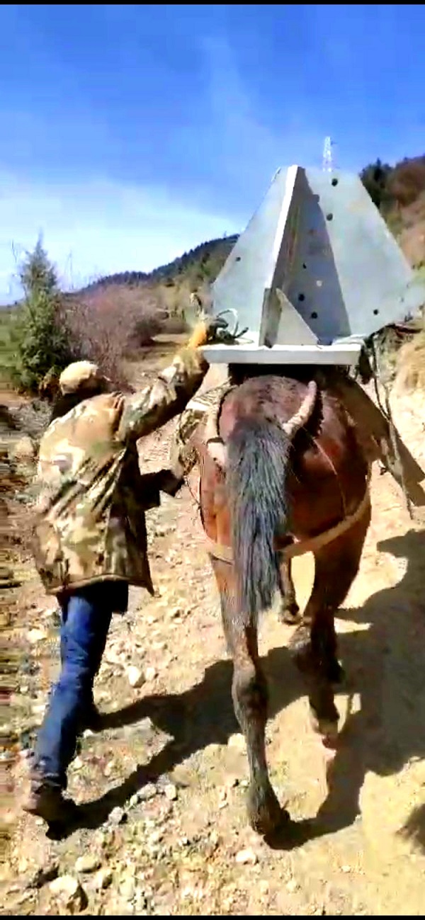 千难万险挡不住前行的脚步