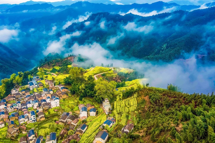 大地回春 王国红 摄