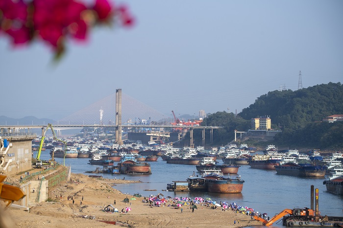 2022年11月20日，市民在广西梧州市西江段的鸳鸯江畔沙滩上打卡游玩。（何华文） (4)