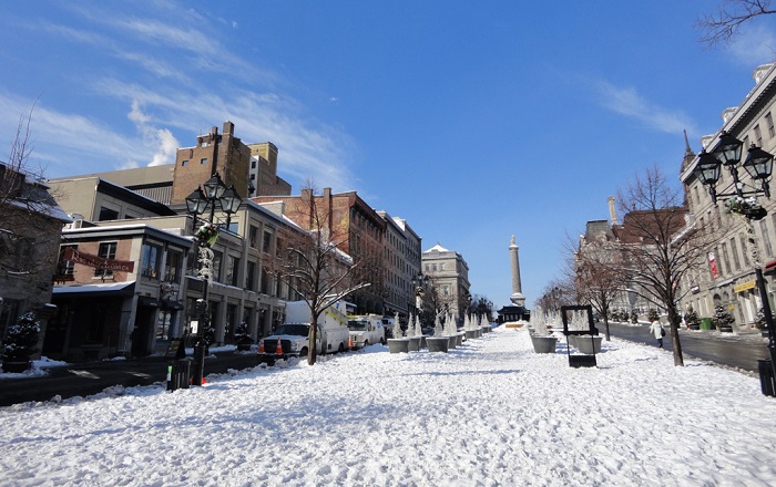 蒙特利尔的雪