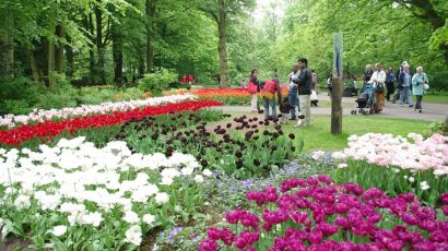 地球上最美丽的春天（图）