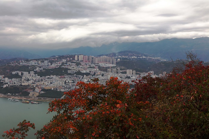 图3：《文峰公园景区红叶装点县城》。唐探峰  17784436870