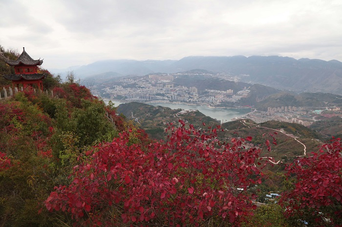 图5：《文峰景区红叶扮靓县城更靓丽》。唐探峰  17784436870