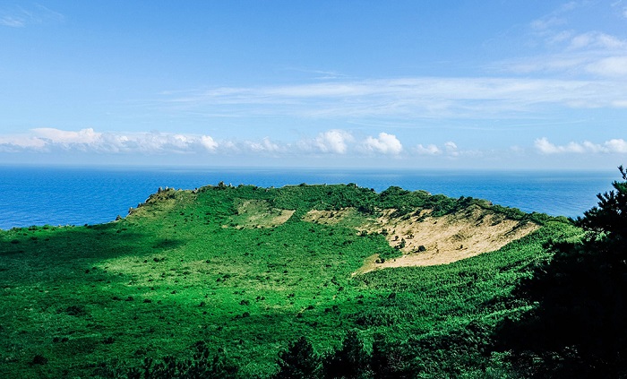 济州岛之春色