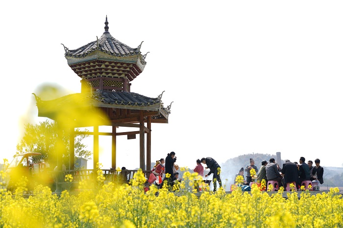 2023年2月26日，在贵州省黔东南苗族侗族自治州从江县洛香镇上皮林村，市民欢聚在花海中享受午餐。