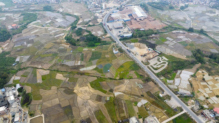 1、2023年3月21日，春分时节，航拍广西梧州苍梧县沙头镇盎然春色逐渐铺满大地，宛如大地调色板。（何华文）