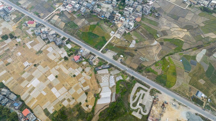 7、2023年3月21日，春分时节，航拍广西梧州苍梧县沙头镇盎然春色逐渐铺满大地，宛如大地调色板。（何华文）