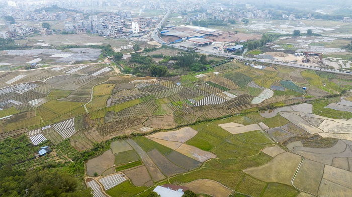 12、2023年3月21日，春分时节，航拍广西梧州苍梧县沙头镇盎然春色逐渐铺满大地，宛如大地调色板。（何华文）