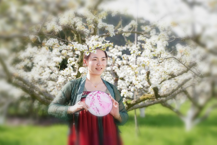 《江西浮梁：梨花似雪  美景如画》图4