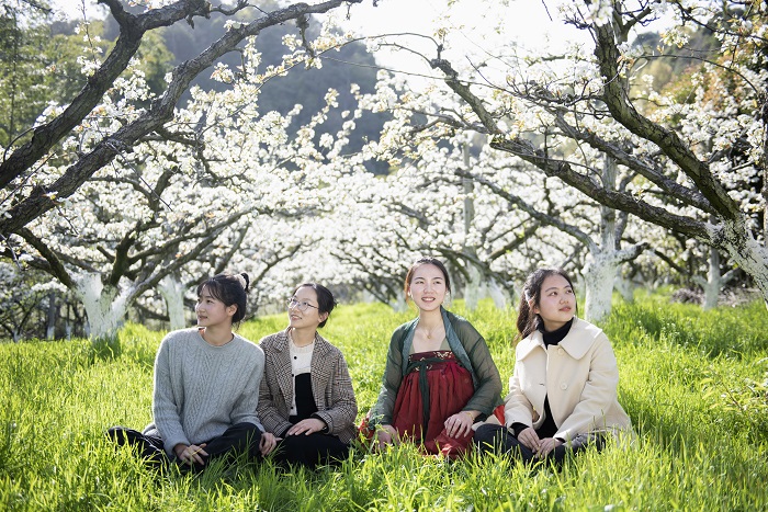 《江西浮梁：梨花似雪  美景如画》图6