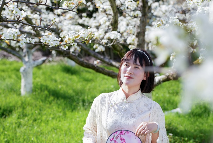 《江西浮梁：梨花似雪  美景如画》图7