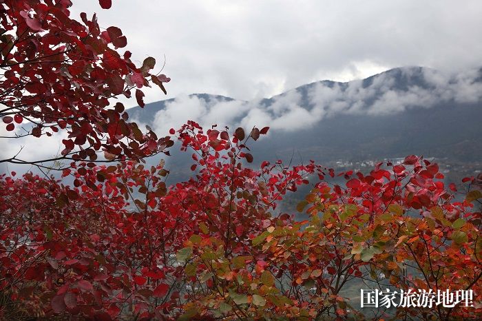 图13：三峡云龙飞彩霞。唐金生