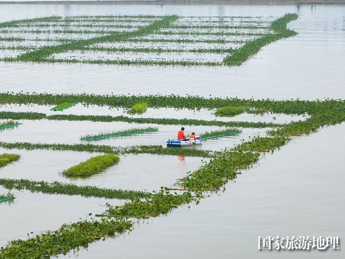 3、2023年5月13日，在广西梧州市长洲岛洲尾浔江段的外江广西内河最大人工鱼巢聚集地，护鱼队员对鱼卵进行管护、监测。（何华文）