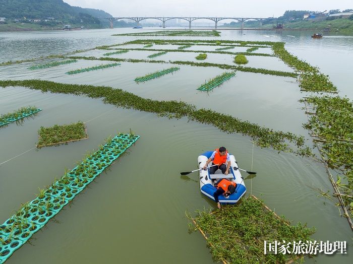 11、2023年5月13日，在广西梧州市长洲岛洲尾浔江段的外江广西内河最大人工鱼巢聚集地，护鱼队员对鱼卵进行管护、监测。（何华文）