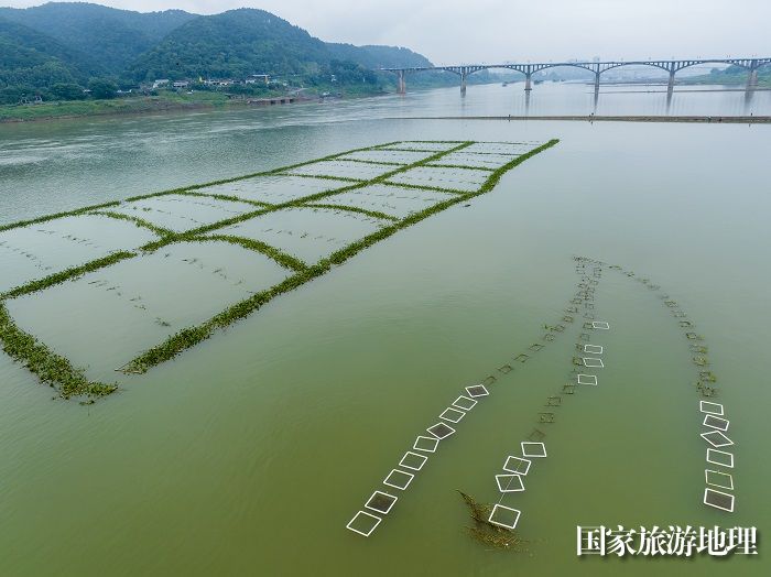 15、2023年5月13日，在广西梧州市长洲岛洲尾浔江段的外江广西内河最大人工鱼巢聚集地，护鱼队员对鱼卵进行管护、监测。（何华文）