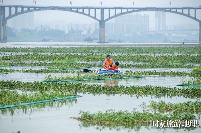 22、2023年5月13日，在广西梧州市长洲岛洲尾浔江段的外江广西内河最大人工鱼巢聚集地，护鱼队员对鱼卵进行管护、监测。（何华文）