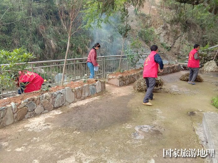 庭院美化