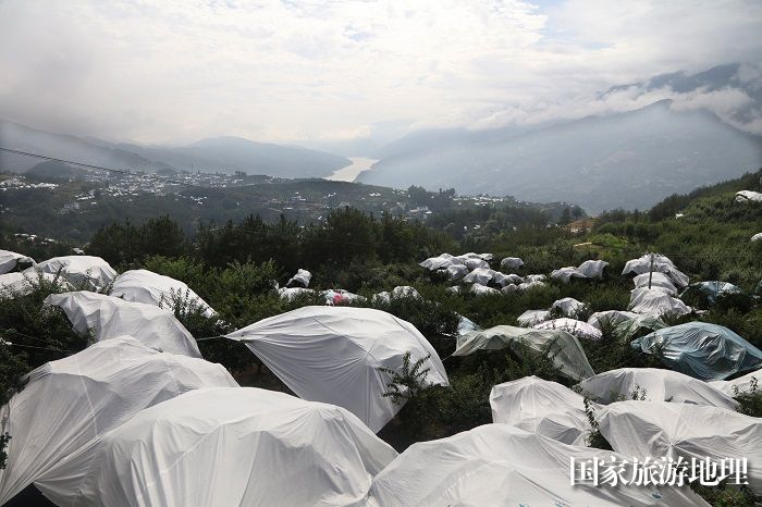 图3：远眺长江彩云飞近观大地披银装保护“摇钱树”。唐金生