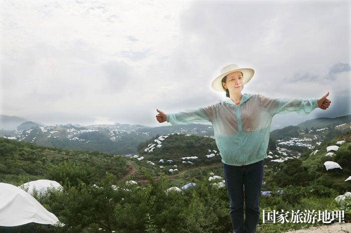 图4：“我的家乡——长江三峡腹心巫山美，是‘中国脆李之乡’，已建成百里花果长廊，今年又是脆李丰收年”。唐金生