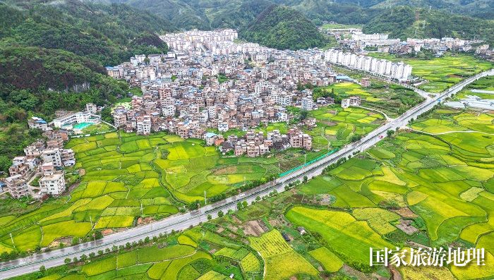2023年8月23日，贵州省黔东南苗族侗族自治州从江县贯洞镇境内的田园，五彩斑斓，景美如画。  (5)